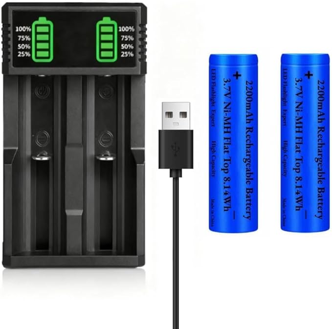 2 18650 Li-ion batterijen met oplader